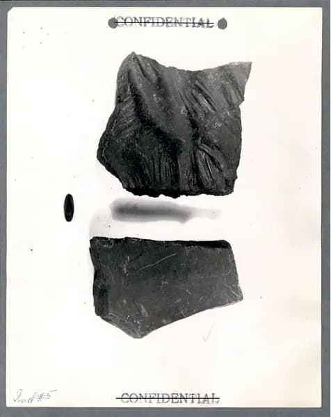 FBI 飛碟總卷 62-HQ-83894 Section 3 — 第 23 頁