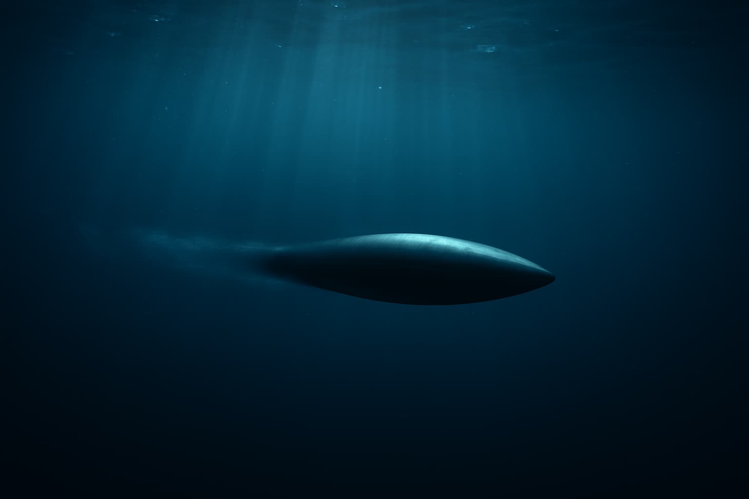 Conceptual depiction of an underwater fast-mover